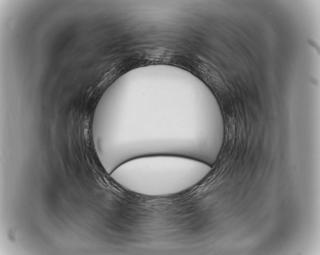 X0000099311154200805020726