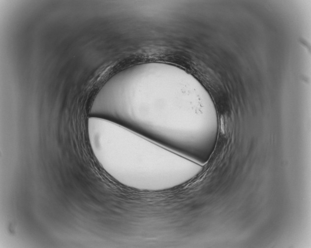 X0000099311155200805020726