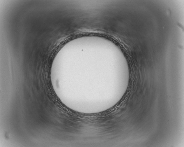 X0000099311157200805020726