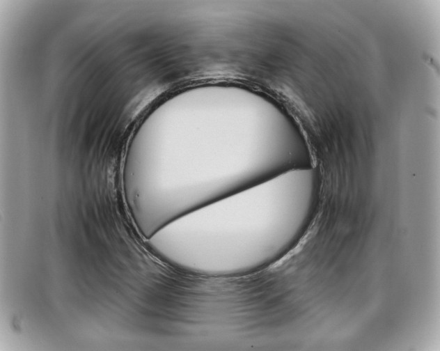 X0000099311162200805020726