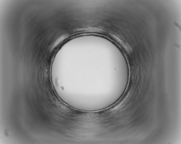 X0000099311163200805020726