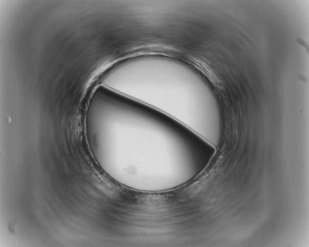 X0000099311164200805020726