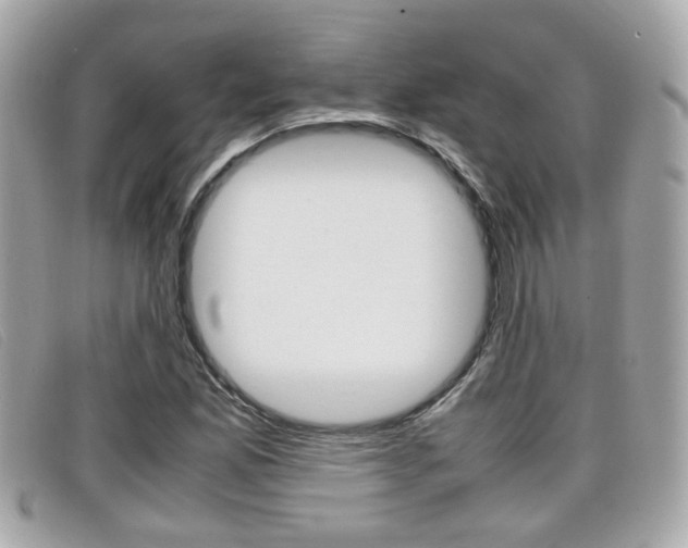 X0000099311165200805020726