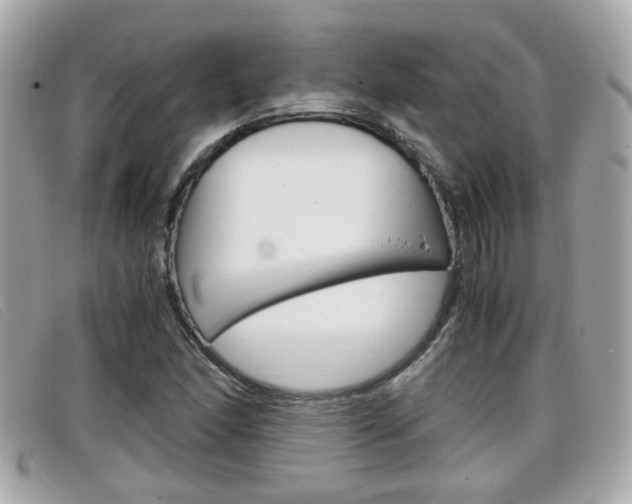 X0000099311166200805020726