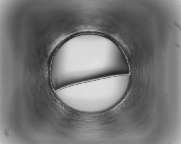 X0000099311167200805020726