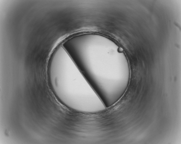 X0000099311168200805020726
