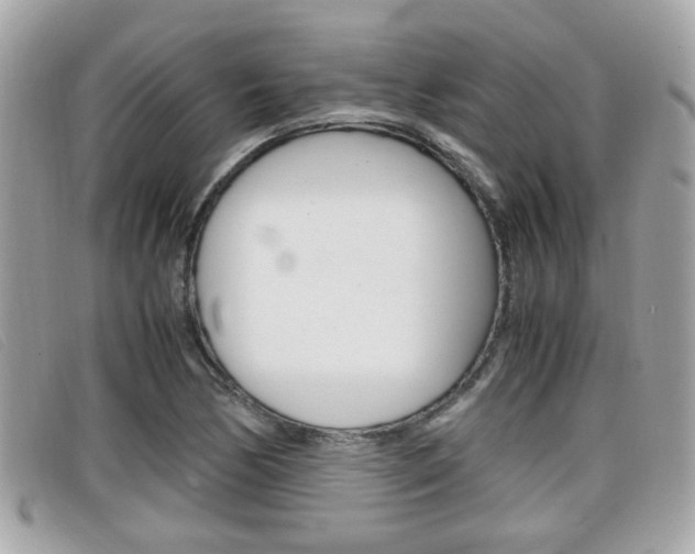 X0000099311170200805020726