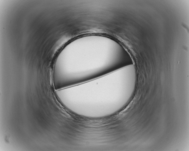 X0000099311171200805020726