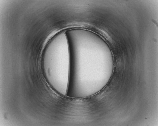 X0000099311172200805020726