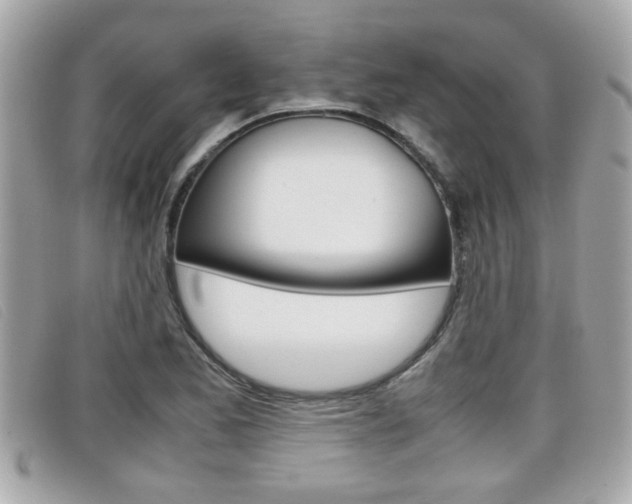 X0000099311173200805020726