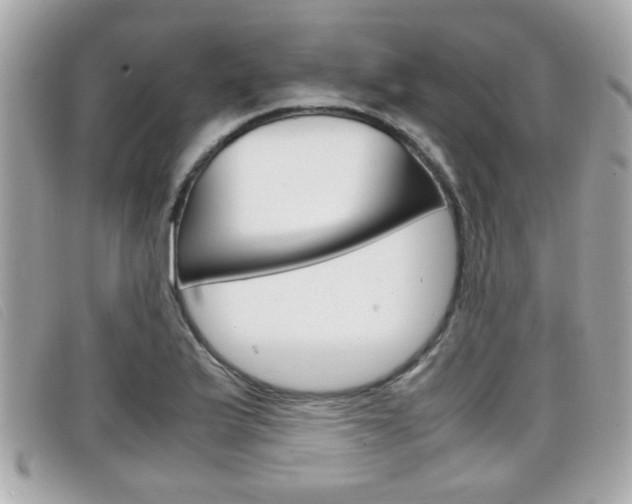 X0000099311175200805020726