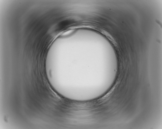 X0000099311177200805020726