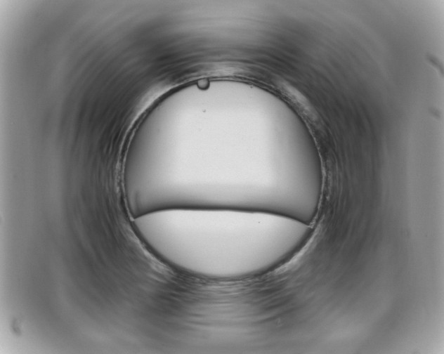 X0000099311178200805020725
