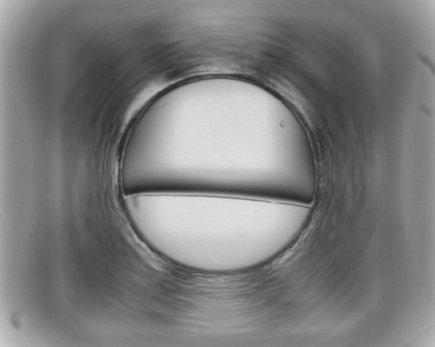 X0000099311179200805020725