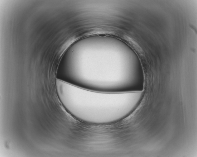 X0000099311185200805020725
