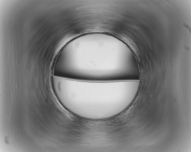 X0000099311187200805020725