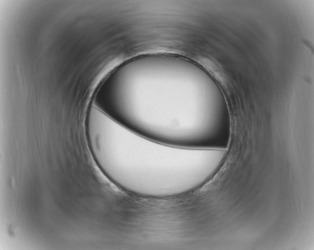X0000099311189200805020725