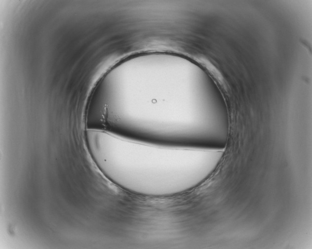 X0000099311191200805020725