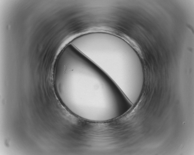 X0000099311192200805020725