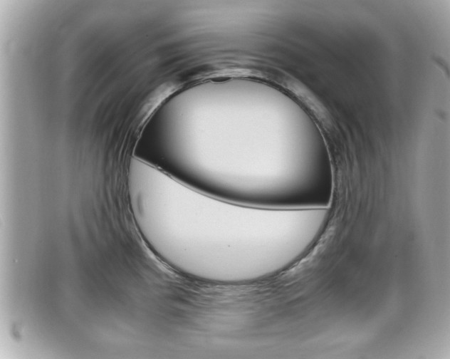 X0000099311193200805020725