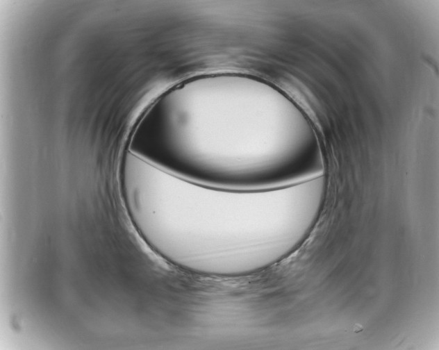 X0000099311197200805020725