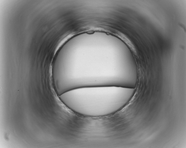 X0000099311198200805020725