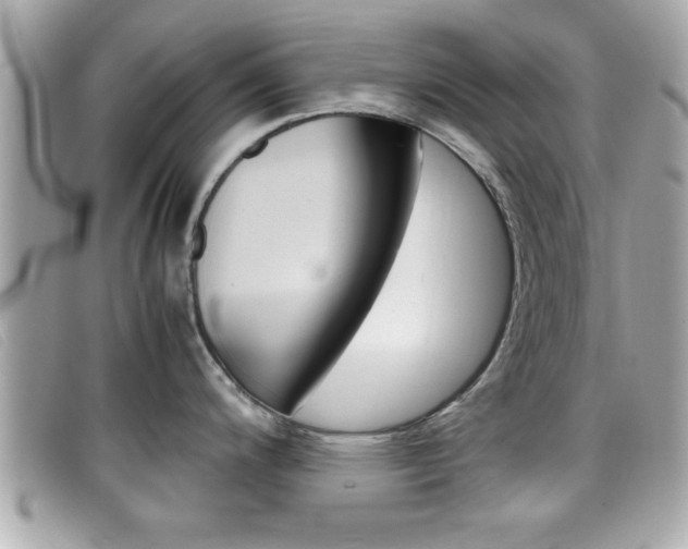 X0000099311200200805020725