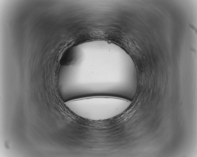 X0000099311201200805020725