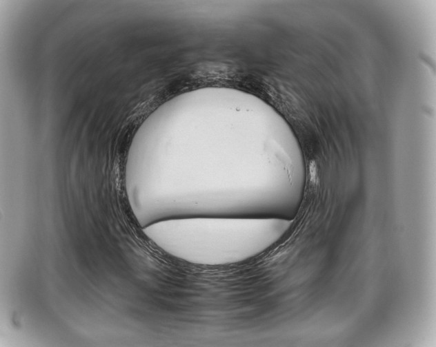 X0000099311203200805020725
