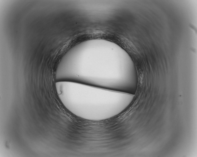 X0000099311204200805020725