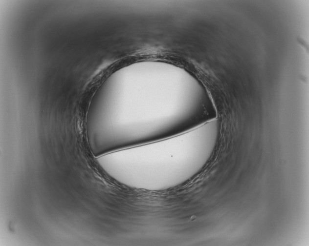 X0000099311206200805020725