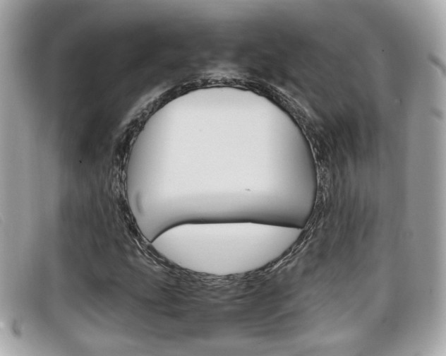 X0000099311207200805020725