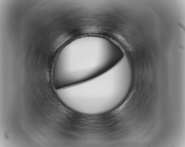 X0000099311209200805020725