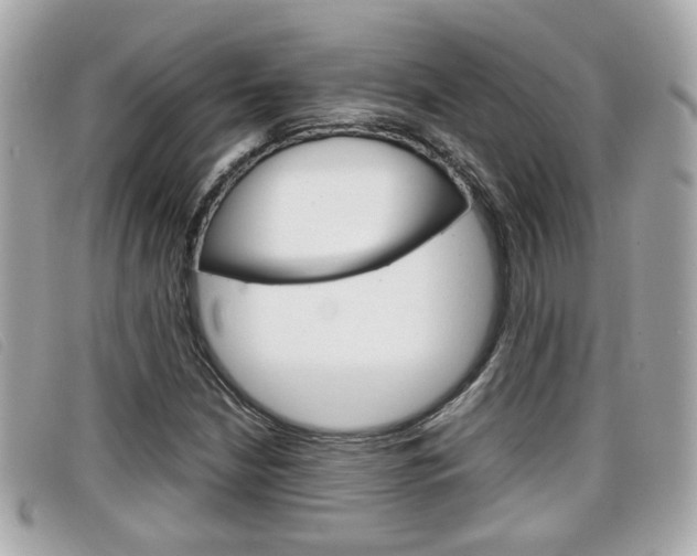 X0000099311210200805020725