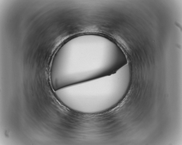 X0000099311212200805020725