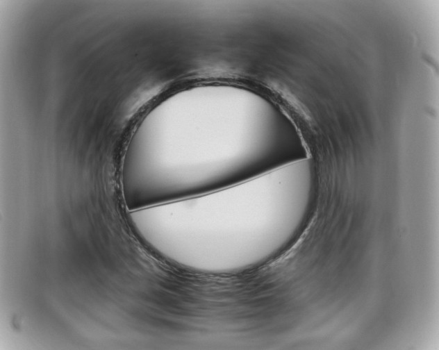 X0000099311213200805020725