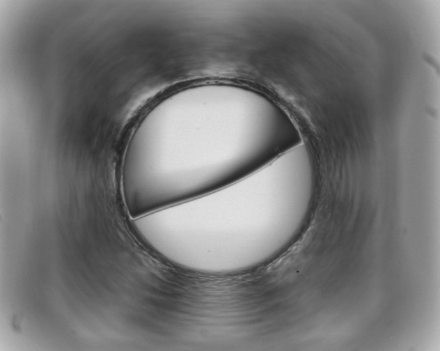 X0000099311214200805020725