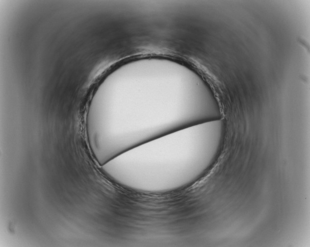 X0000099311215200805020725