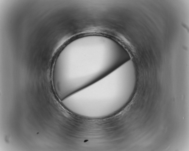 X0000099311216200805020725