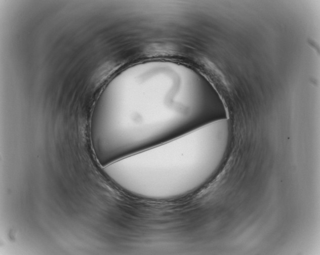 X0000099311217200805020725
