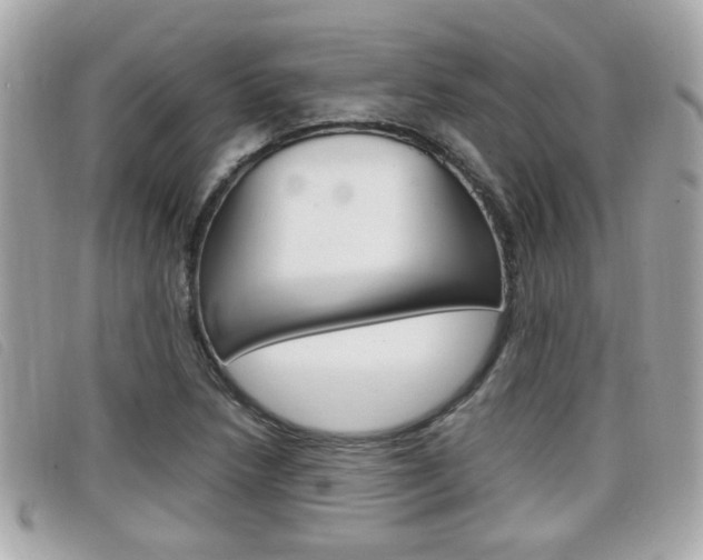 X0000099311218200805020725