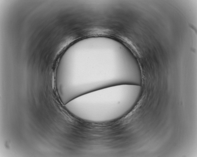 X0000099311219200805020725