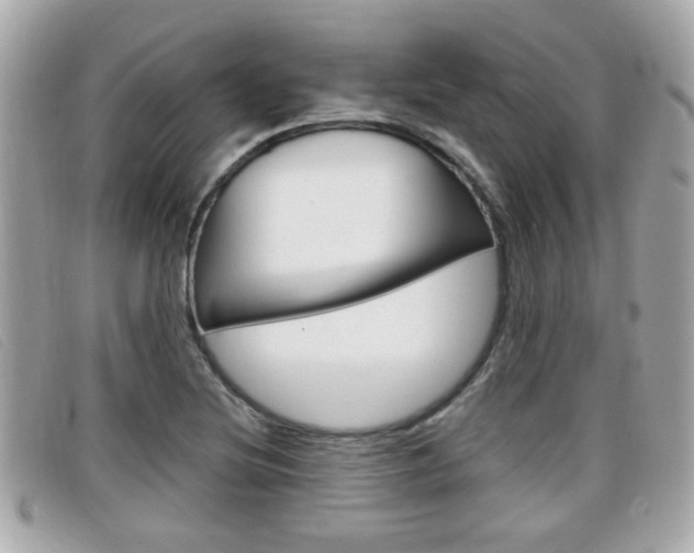 X0000099311220200805020725