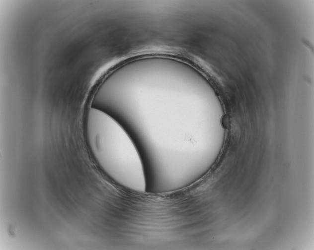 X0000099311222200805020725