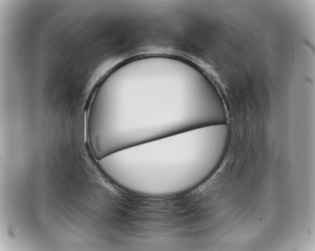 X0000099311223200805020725
