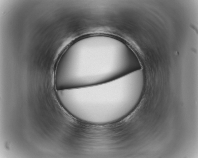 X0000099311224200805020725