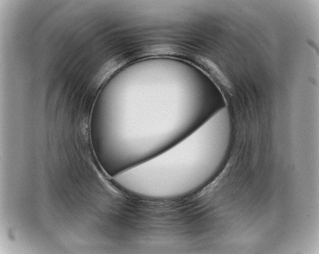 X0000099311225200805020725