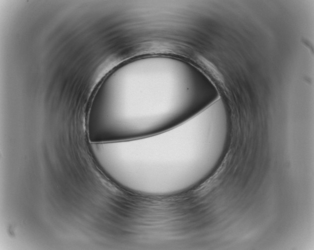 X0000099311226200805020725