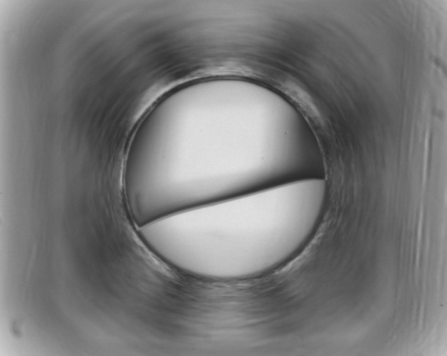 X0000099311228200805020725