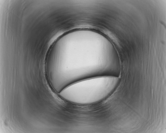 X0000099311229200805020725